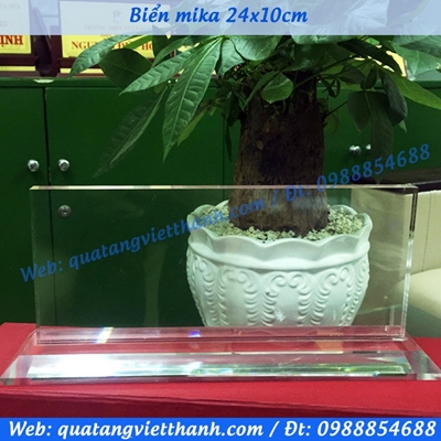 Biển mica 10x24