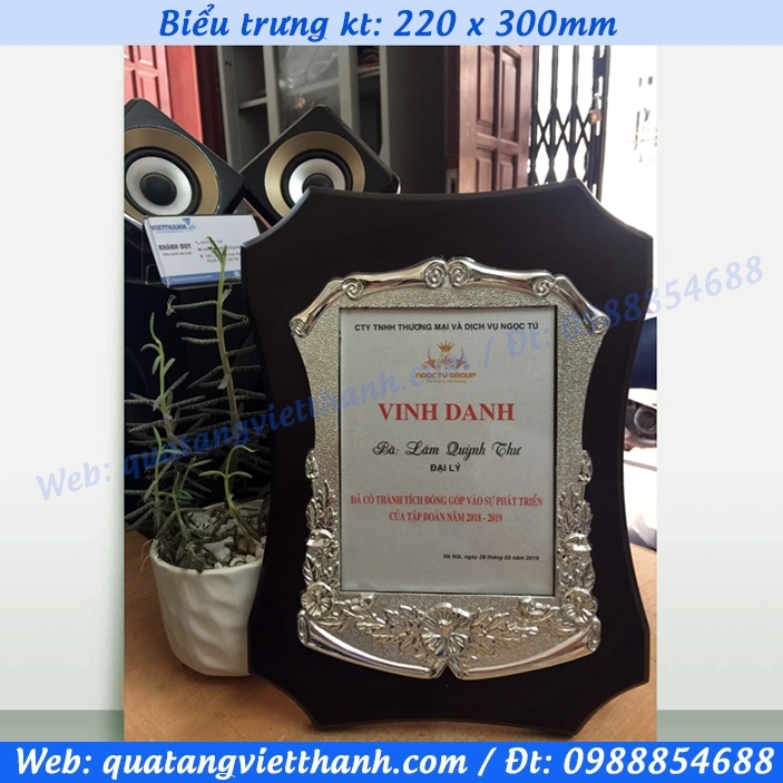 Biểu trưng khung mạ bạc