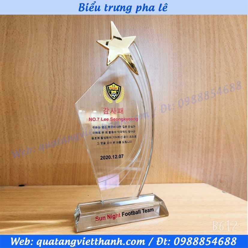 Biểu trưng pha lê (Mẫu sao, trong)