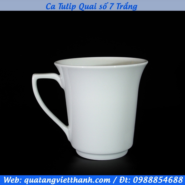 Ca Tulip Quai số 7 Trắng