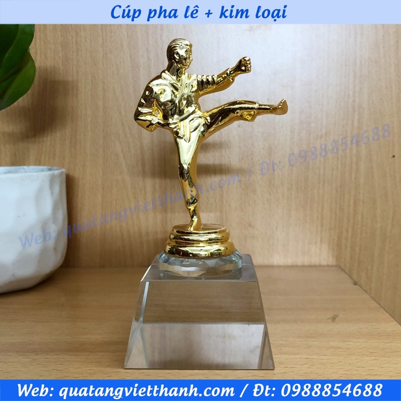 Cúp pha lê kim loại (mẫu giải võ thấp)