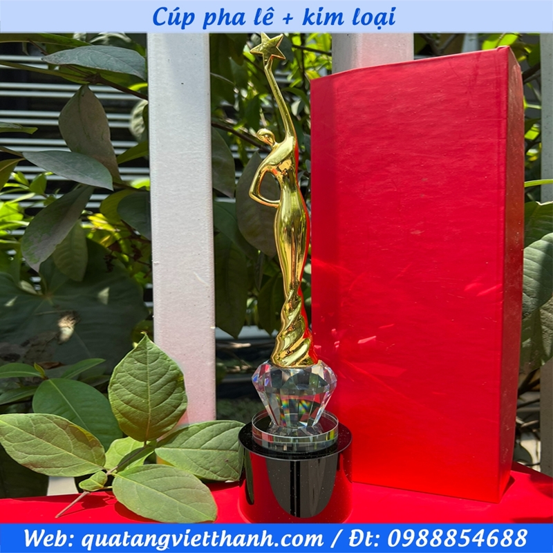 Cúp pha lê kim loại mẫu vươn tới một ngôi sao