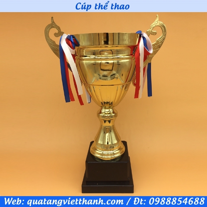 Cúp thể thao 2024